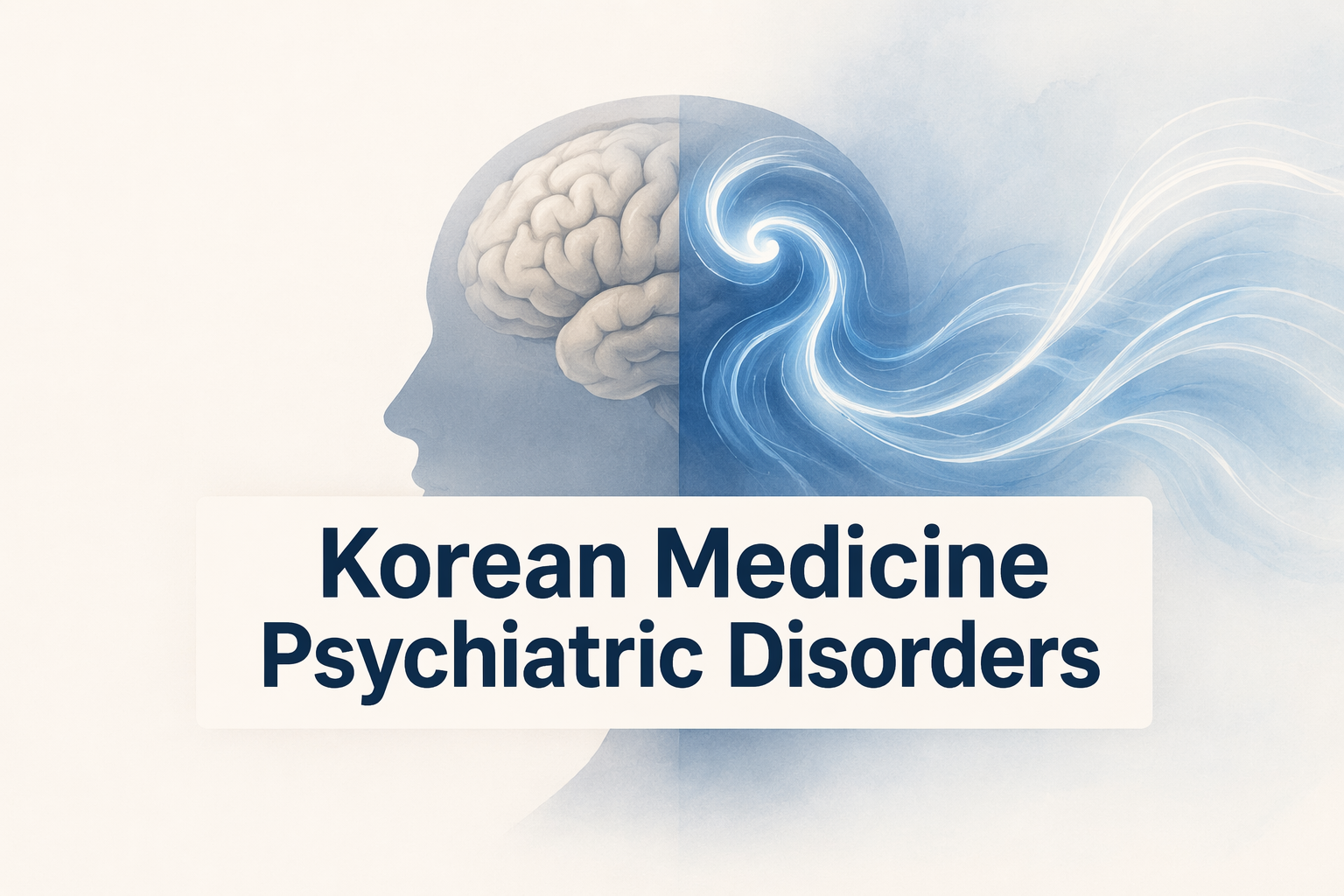 Korean Medicine Psychiatric Disorders: Integrative Neuropsychiatric Approach
