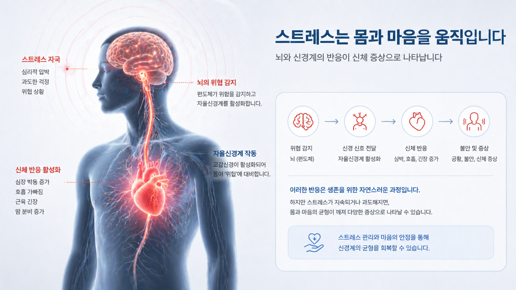 공황장애 원인인 스트레스와 신경계 반응을 설명하는 이미지