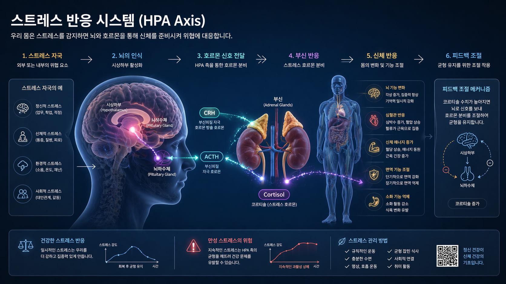 우울증 증상과 스트레스 반응을 표현한 신경계 이미지