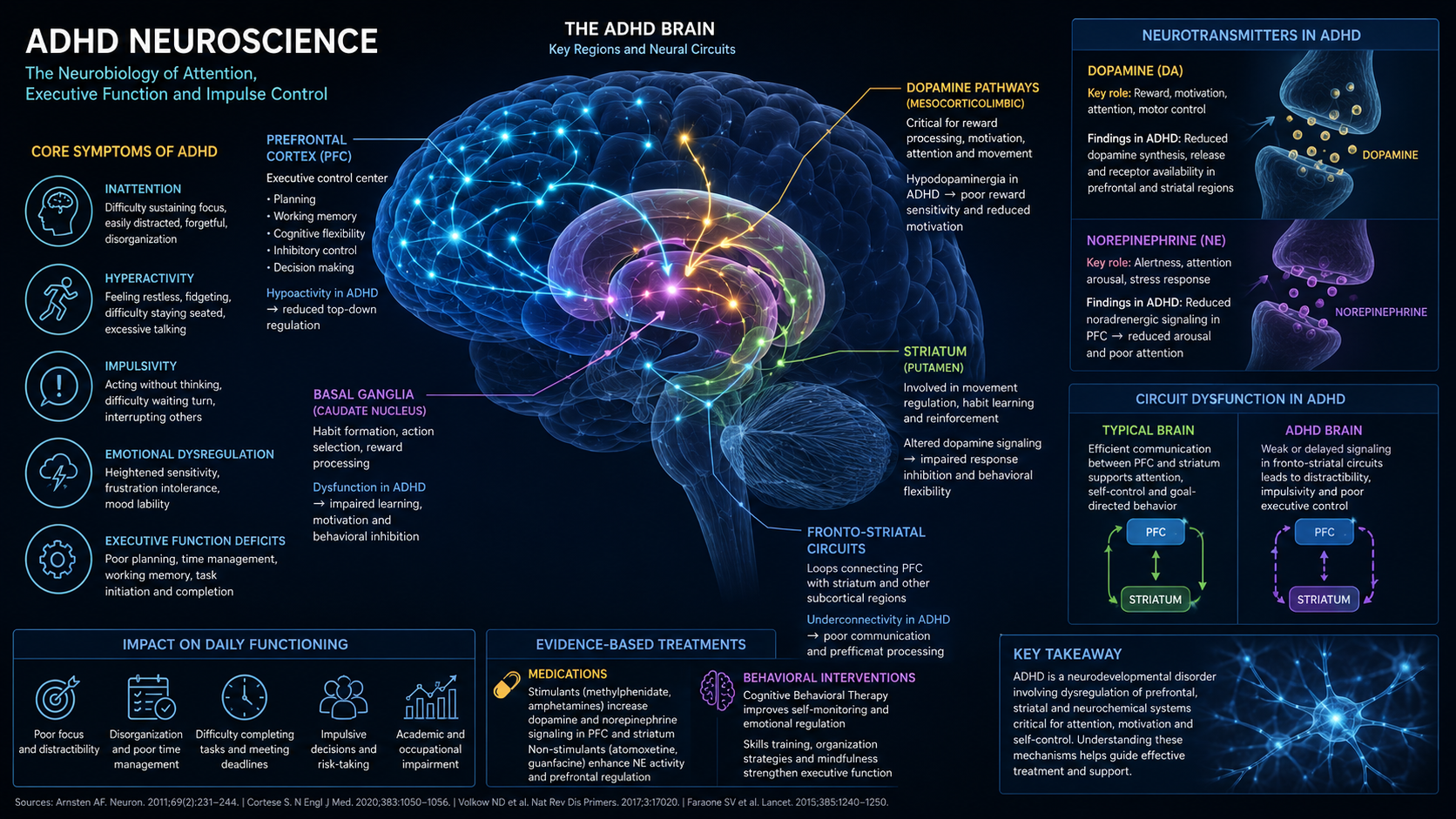 ADHD symptoms related to brain circuits and executive dysfunction