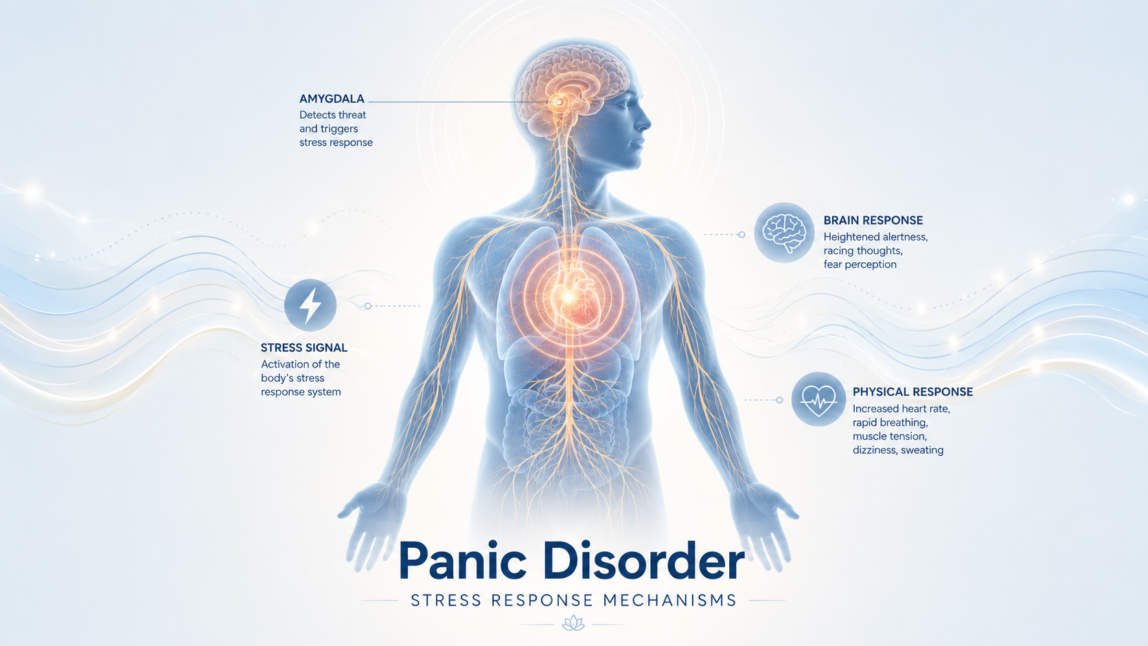 panic disorder stress response overview