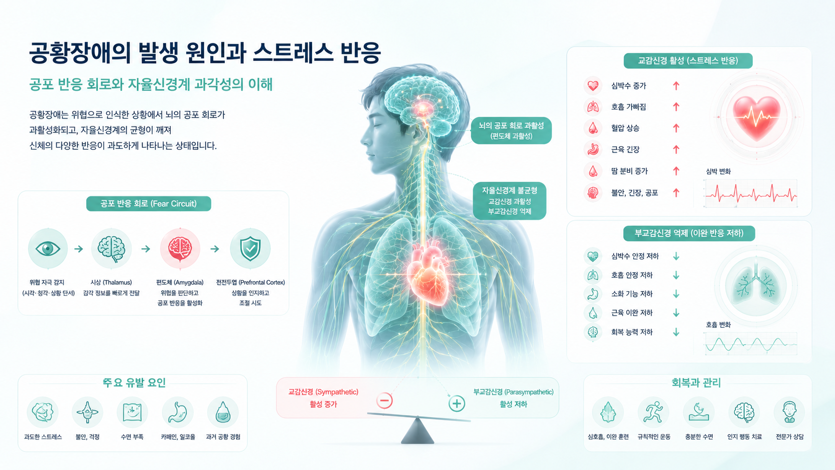 공황장애 원인과 자율신경계 과각성 이미지