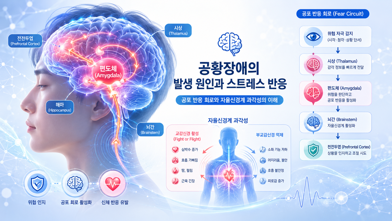 공황장애 원인과 편도체 공포 반응 회로 이미지