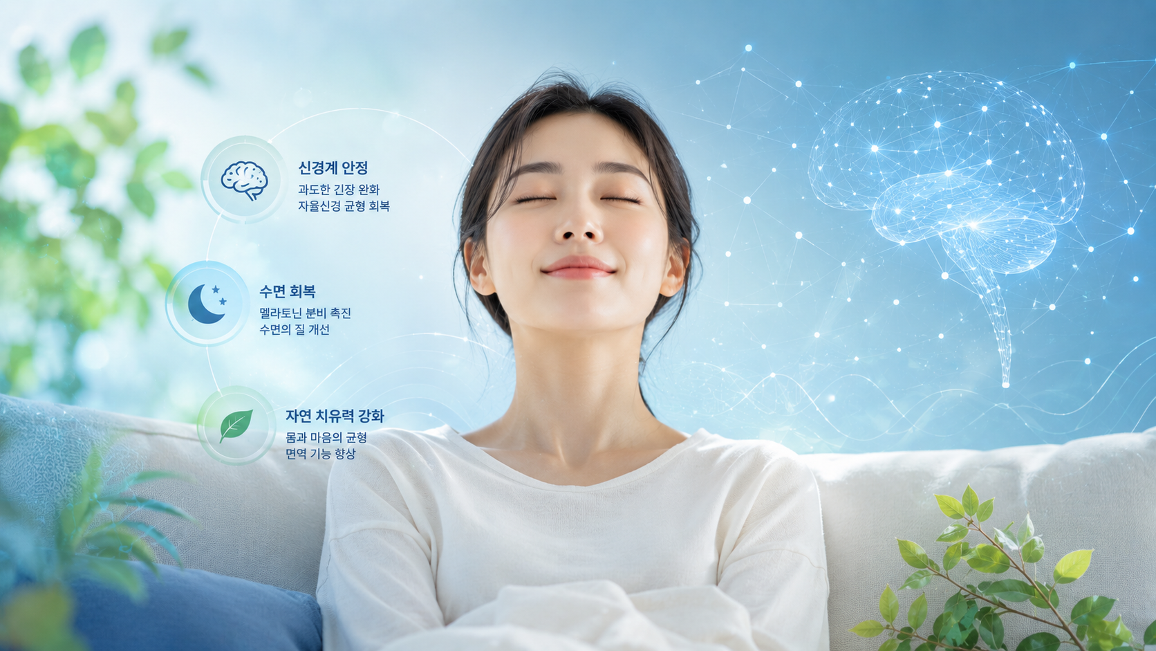 불면증 원인에 대한 한의학적 치료 접근 이미지