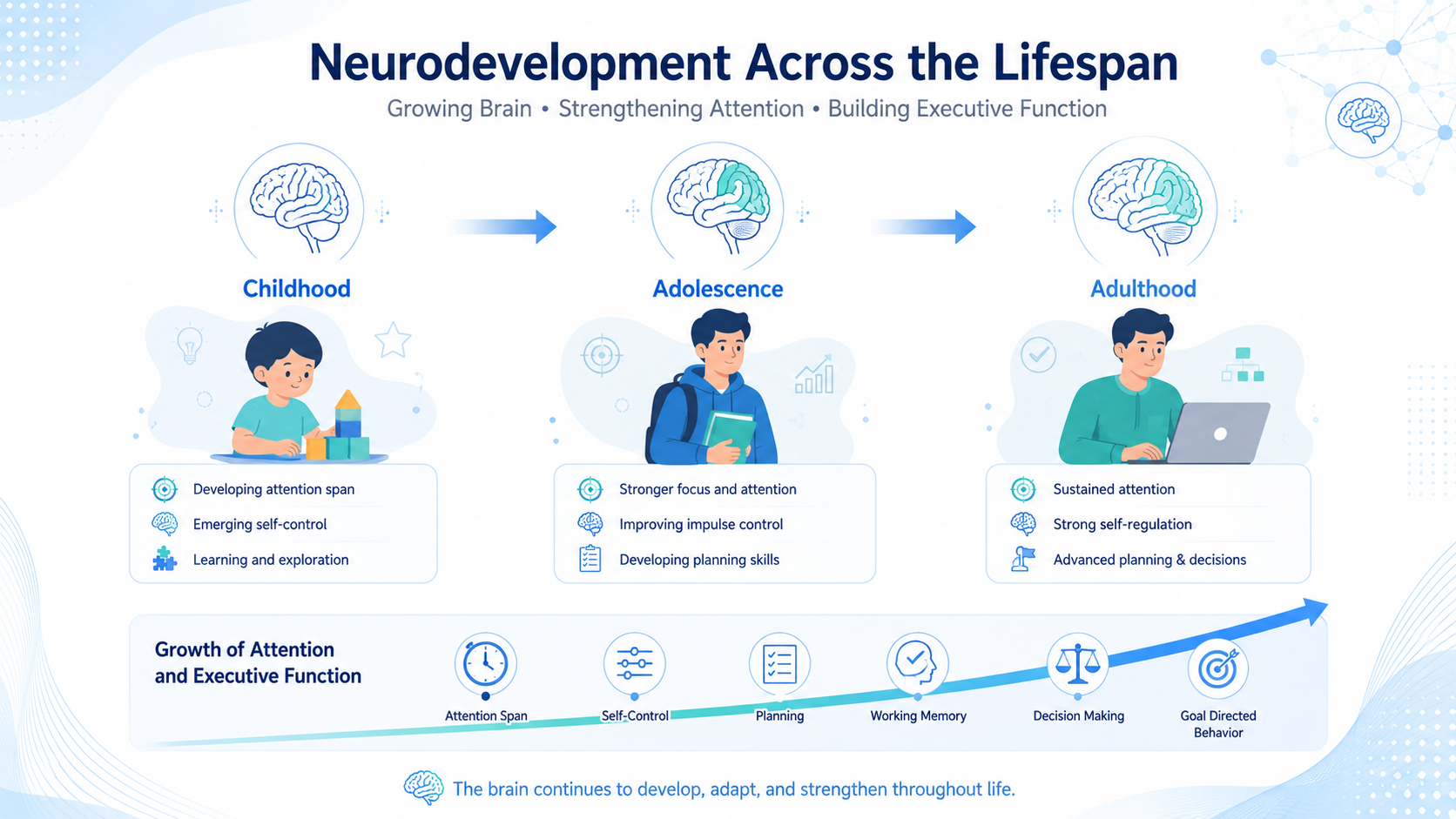 ADHD neurodevelopment across different life stages