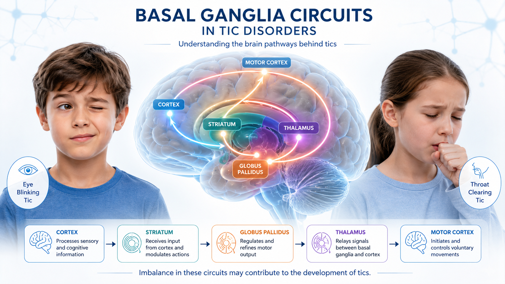 Basal Ganglia Circuits in Tic Disorders: Neurobiological and Korean Medicine Perspectives