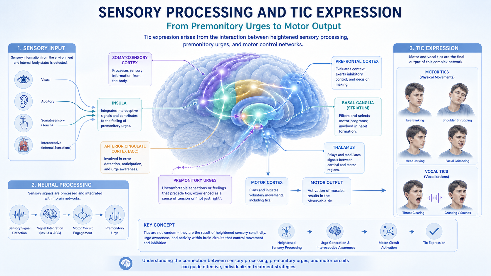 tic disorder neurodevelopment sensory processing and premonitory urges