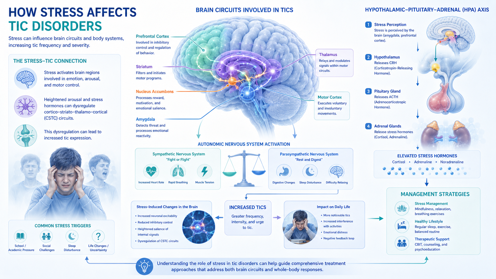 tic disorder neurodevelopment stress response and autonomic nervous system
