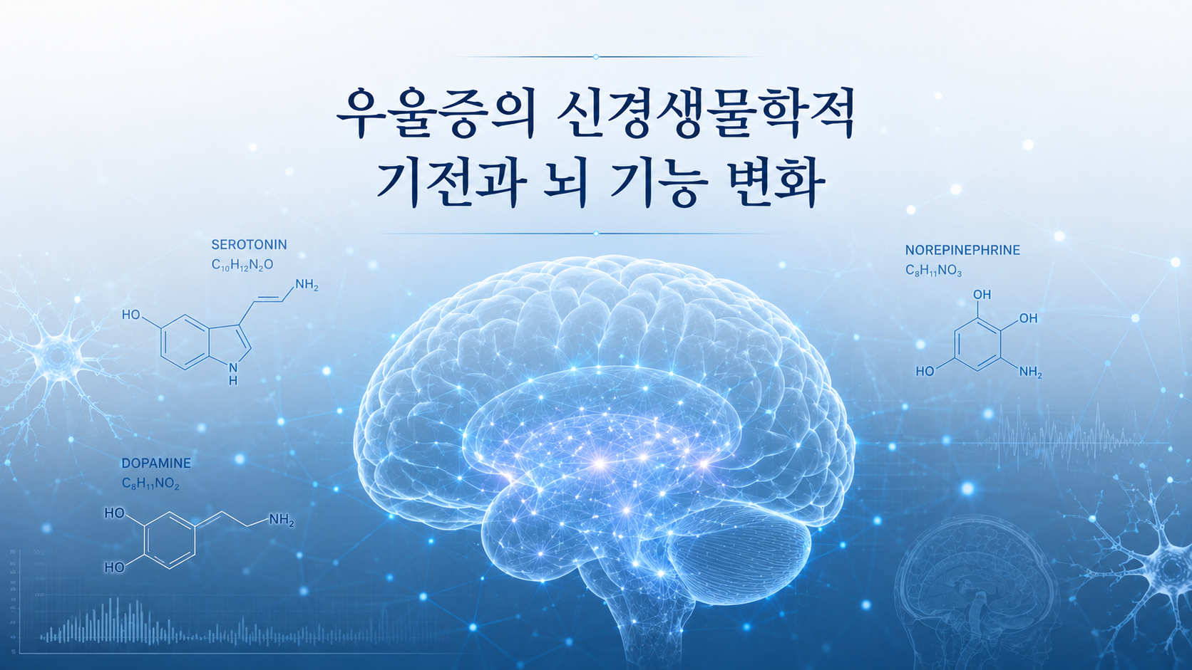 우울증의 신경생물학적 기전과 뇌 기능 변화