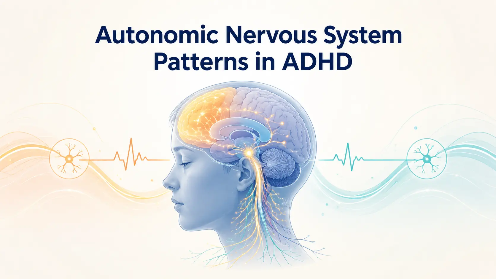 7 ADHD Autonomic Response Patterns: Autonomic Nervous System and Brain Regulation