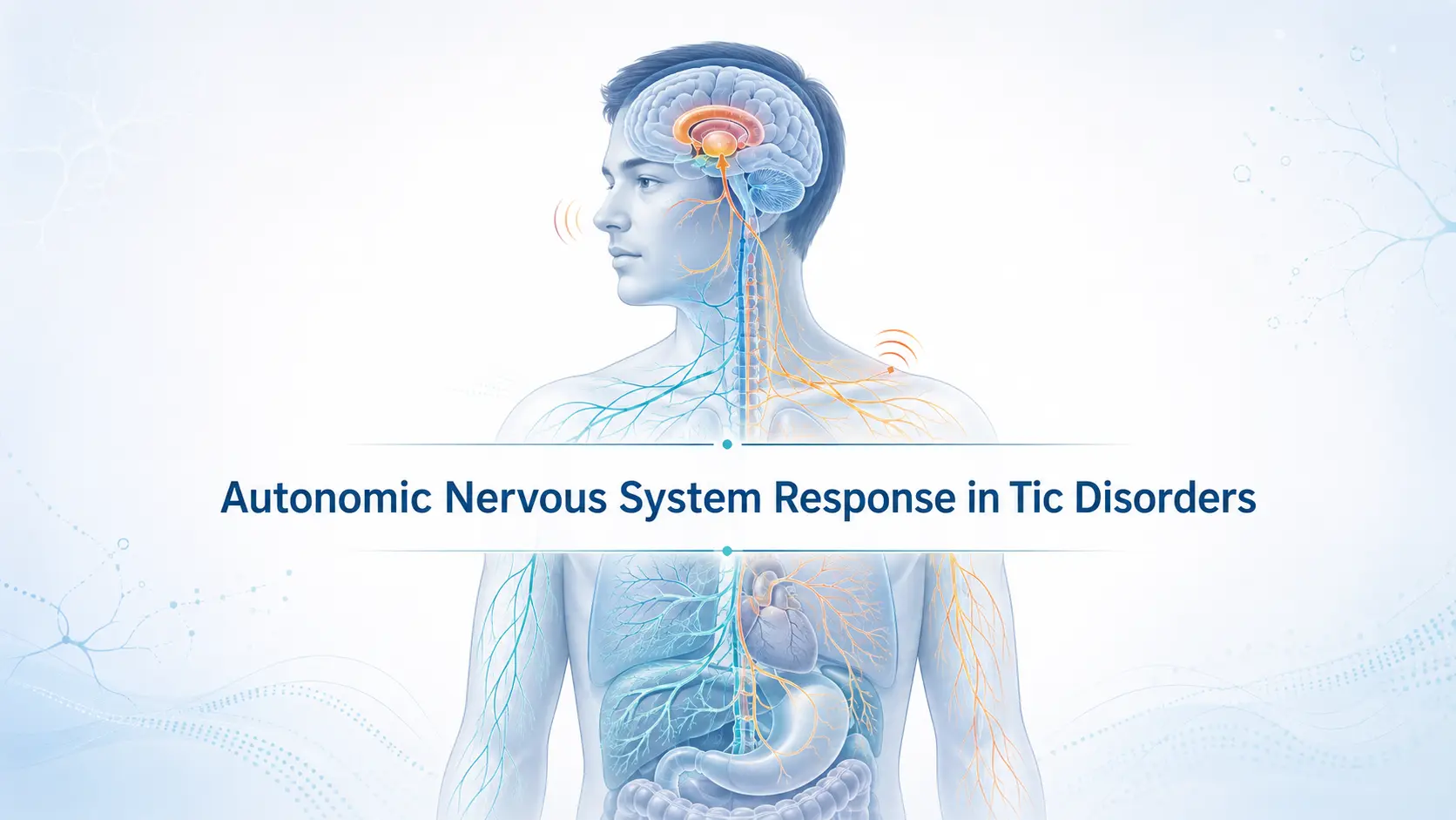 7 Key Insights into Tic Disorder Autonomic Response and Neurobiology